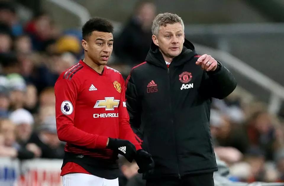 运动员华丽 运动员华丽